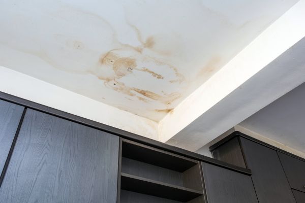 Professional Ceiling Leak Repair Service