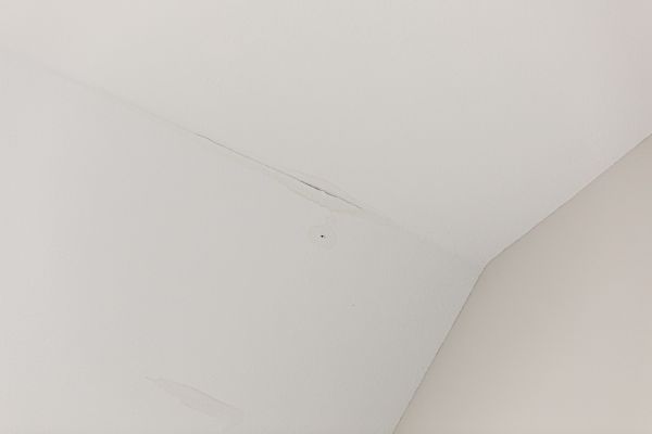 Attic Ceiling Leak Repair